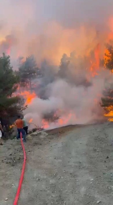 Genç Gazete Bursa'da Orman Yangınları Büyüyor Müdahaleler Sürüyor 1