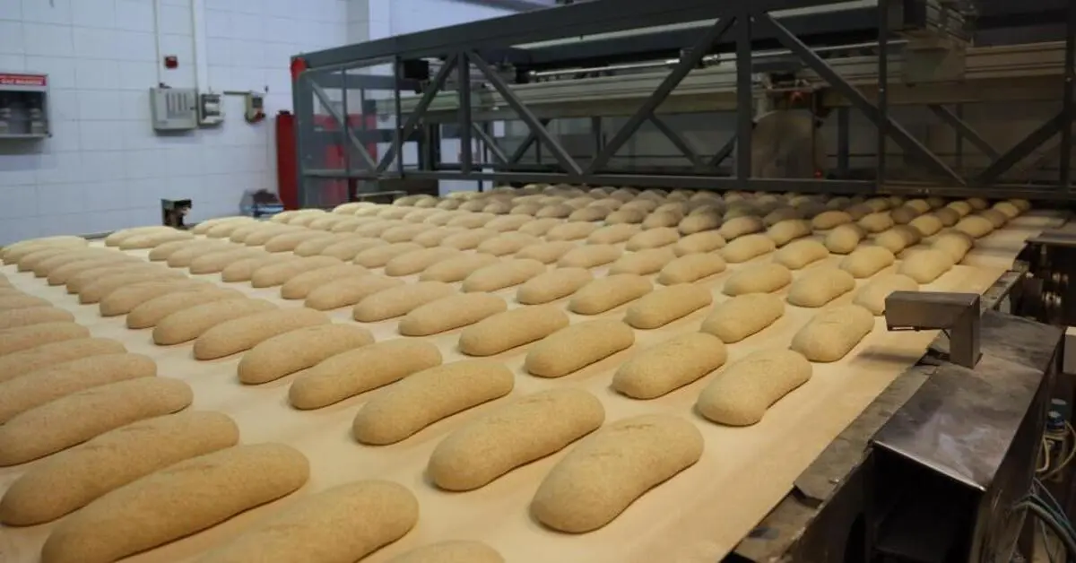 Genç Gazete Bursalı Gençler Besaş’ta Ekmeğin Serüvenine Tanıklık Etti 2