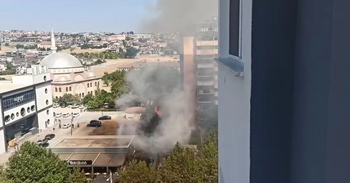 Genç Gazete Bursa'nın Merkezinde Ağaçlar Alev Aldı! 1