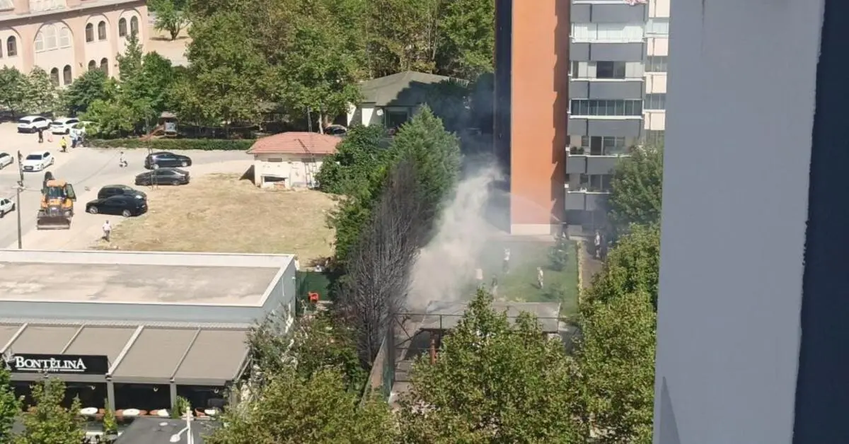 Genç Gazete Bursa'nın Merkezinde Ağaçlar Alev Aldı!