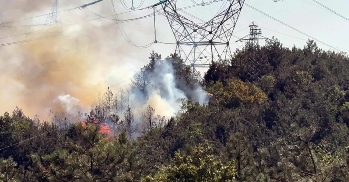 Genç Gazete Düzce Sakarya Sınırında Orman Yangınına Müdahale Sürüyor 2
