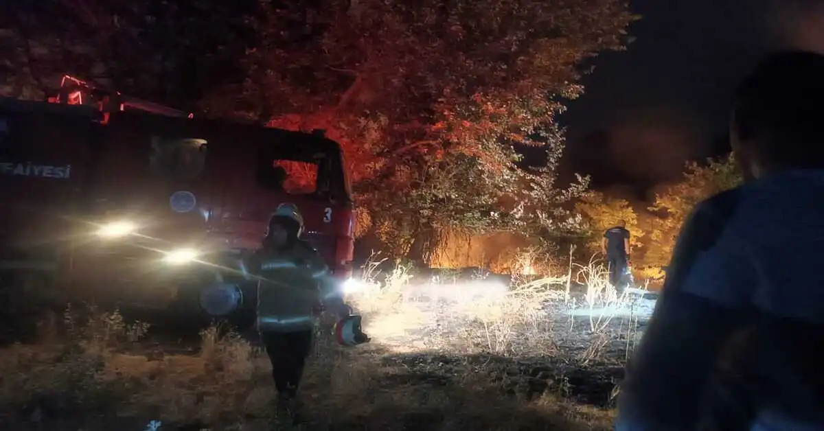 Genç Gazete İnegöl’de Korkutan Yangın Ceviz Bahçesini Küle Çevirdi-1