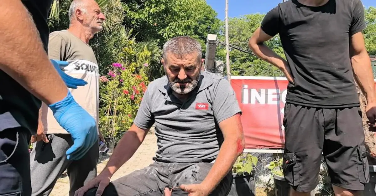 Genç Gazete İnegöl’de Motosiklet Köpeğe Çarptı Sürücü Yaralandı, Köpek Telef Oldu 1