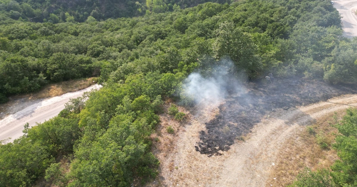 Genç Gazete İnegöl'de Ormanlık Alanda Yangın Ekipler Ağaçlara Sıçramadan Söndürdü