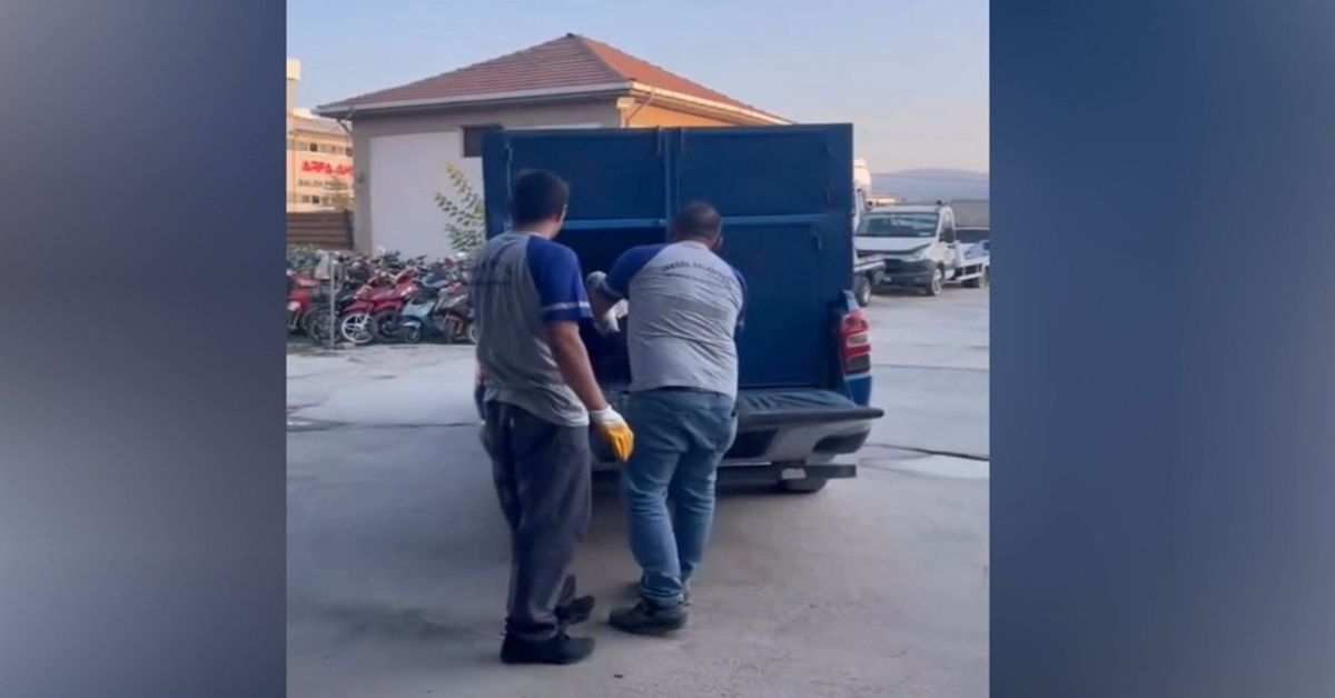 Genç Gazete İnegöl’de Yaralı Leyleğe Şefkat Eli İş Yeri Sahibi Elleriyle Besledi 2