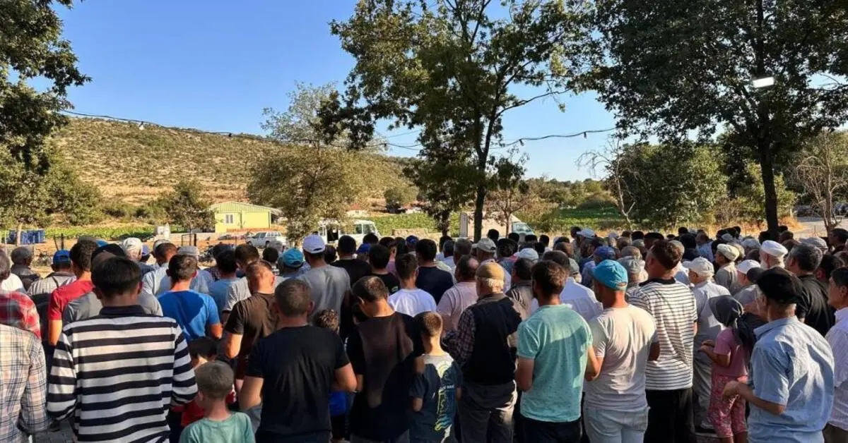 Genç Gazete İznik'te Kuraklık Ve Yangınlar İçin Eller Semaya Açıldı 2