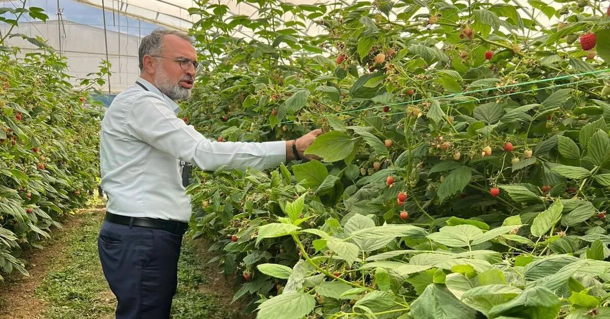 Genç Gazete Kestel’den Sırbistan’a Tarım Köprüsü Ahududu İçin Uluslararası İş Birliği Başlatıldı 2