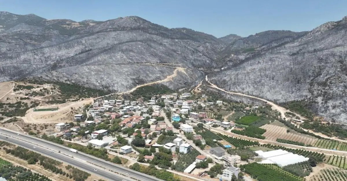 Genç Gazete O Ormanlar Artık Yok Bursa’nın Ciğerleri Böyle Yandı 2