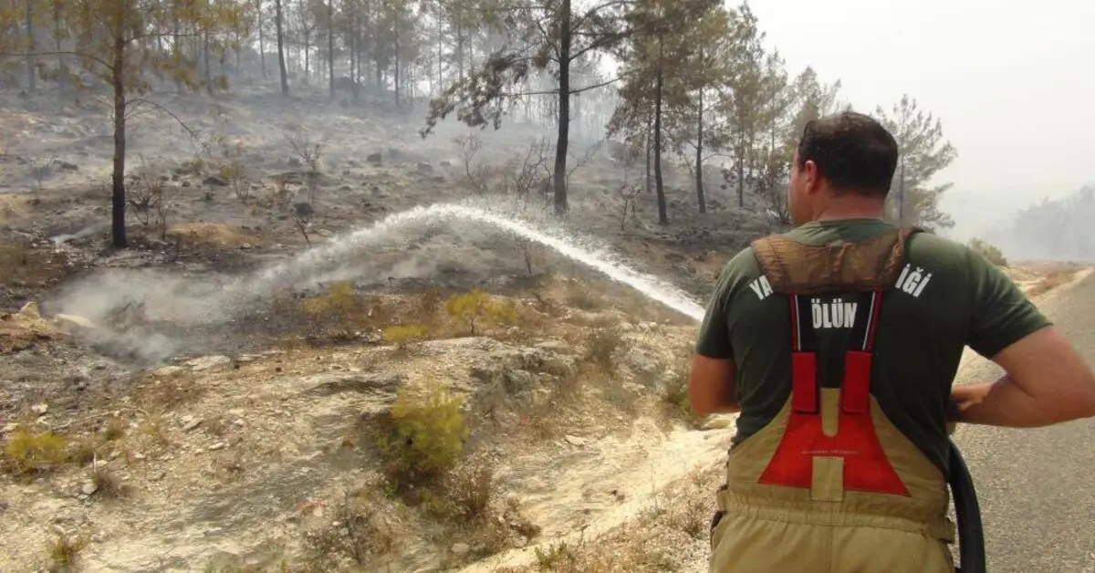 Genç Gazete Silifke’de Orman Yangınına 12 Hava Aracı Ve 526 Personelle Müdahale Ediliyor 2