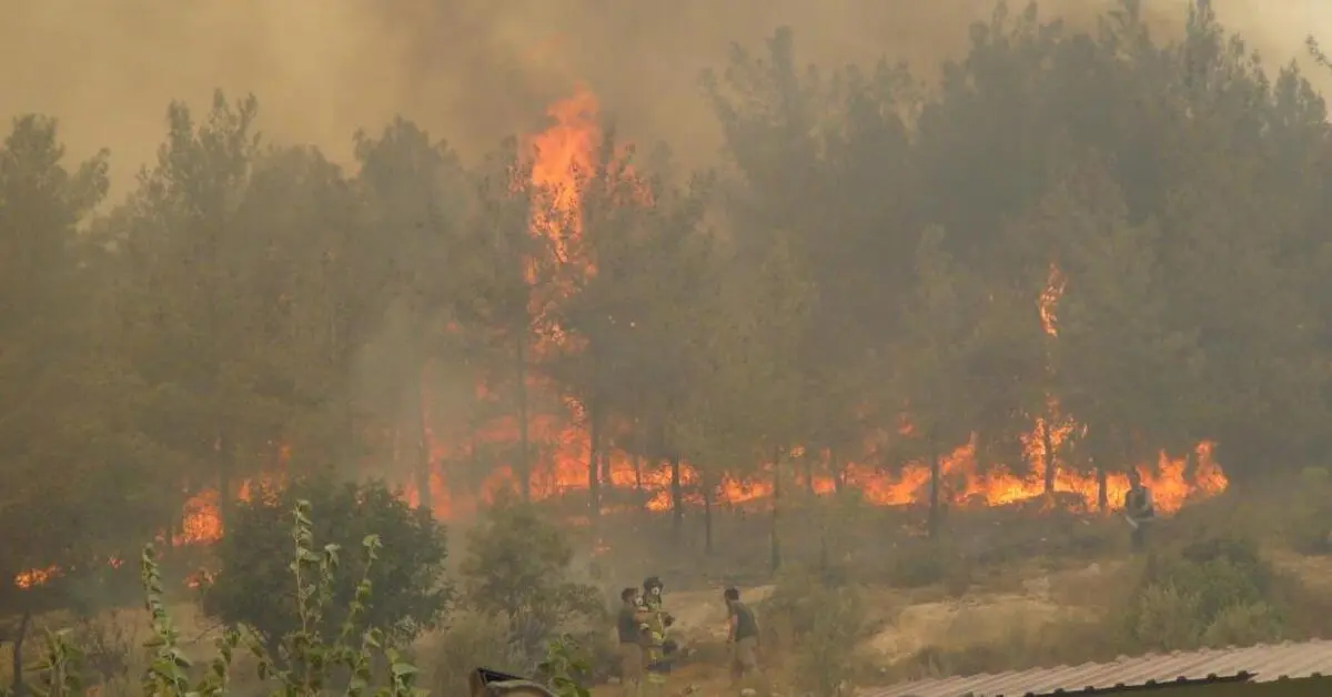 Genç Gazete Silifke’de Orman Yangınına 12 Hava Aracı Ve 526 Personelle Müdahale Ediliyor 3