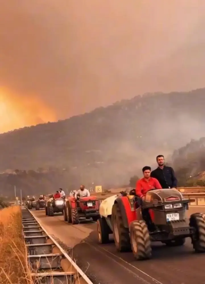 Genç Gazete Yangının Seyrini Çiftçiler Değiştirdi Alevler Bursa Sınırında Durduruldu 2