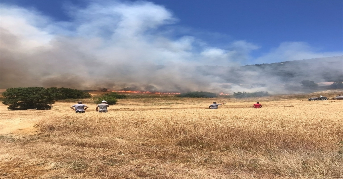 Genç Gazete Yenişehir'de Anız Yangını Ormana Sıçradı Ekipler Müdahale Ediyor