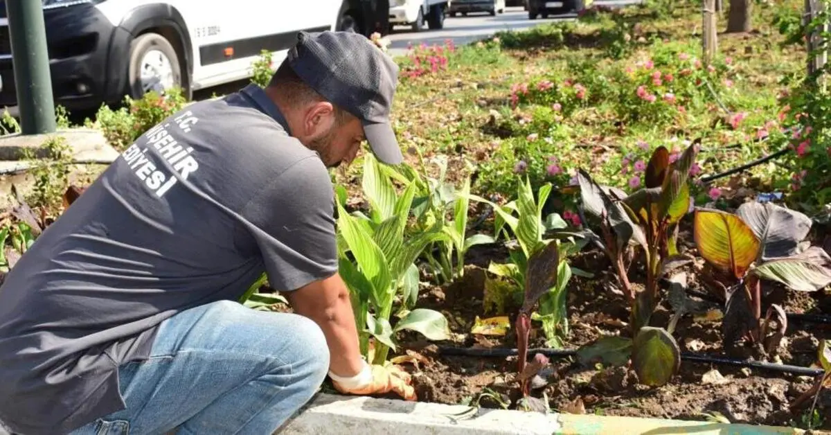 Genç Gazete Yenişehir’in Kalbi Mevsimlik Çiçeklerle Güzelleşiyor 2