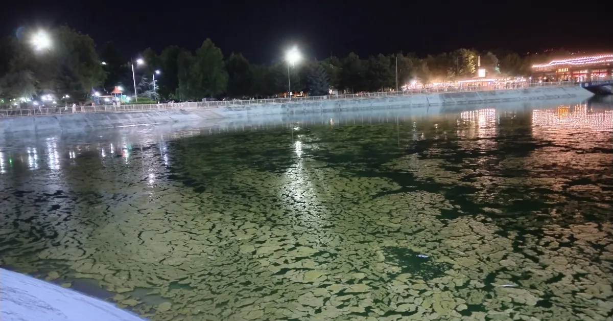 İnegöl Kültürpark’ta Hayal Kırıklığı! Havuz Yosunlara Teslim Oldu (1)