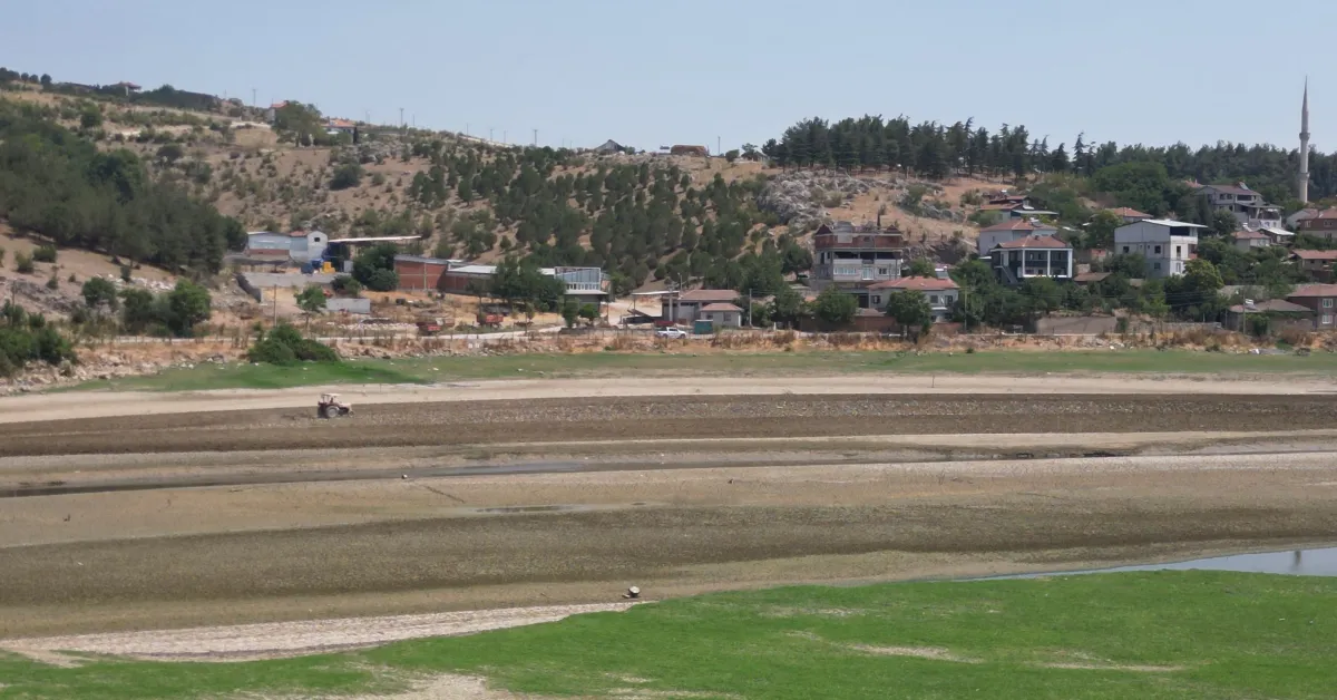 İnegöl’de Boğazköy Barajı Kurudu, Tarım Yapılmaya Başladı! (2)