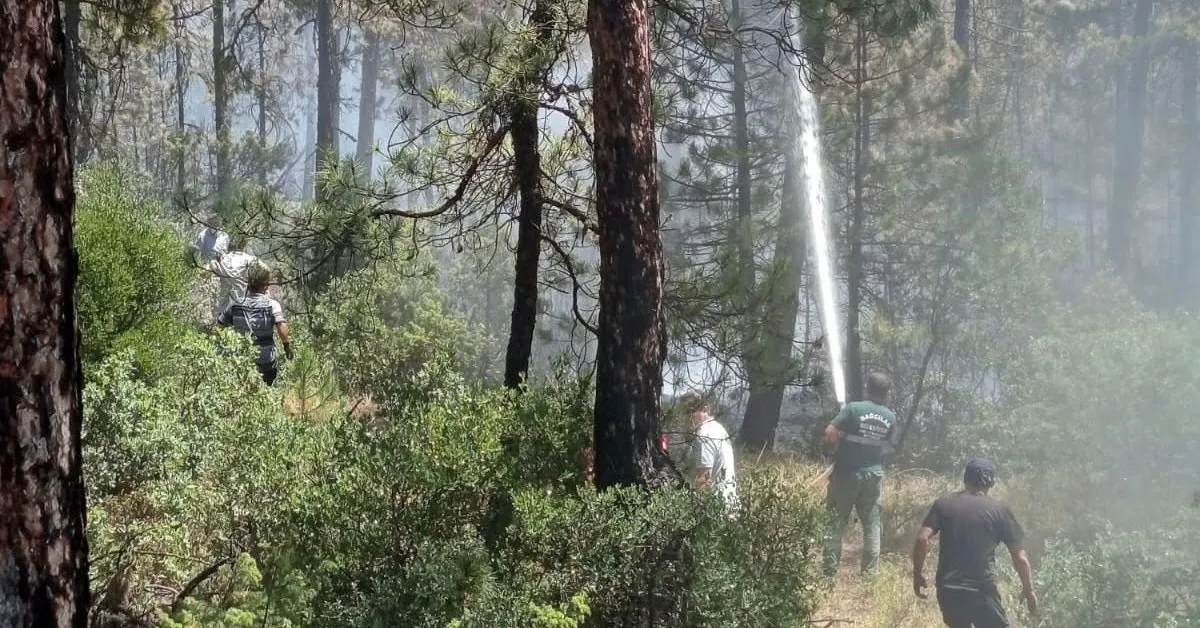 İnegöl’den Yangın Seferberliği! 20 Araç Ve 18 Personel Sahada (5)