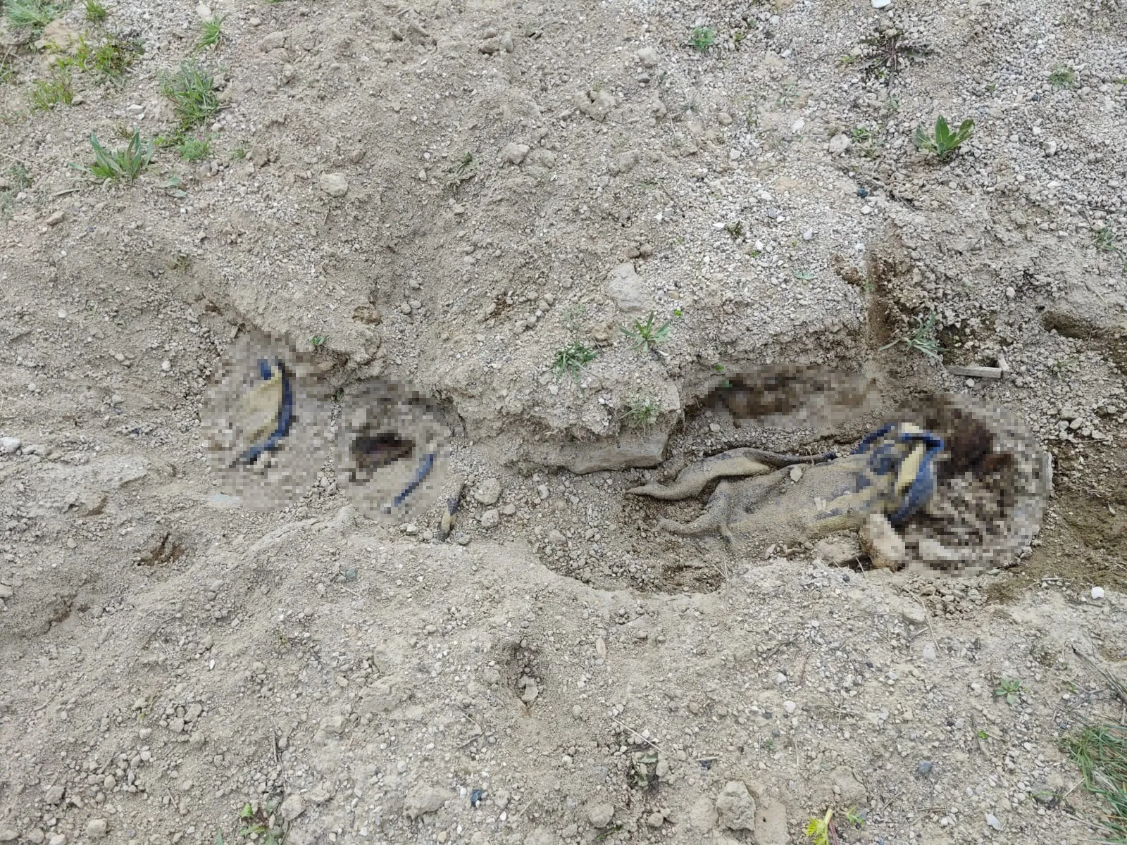 İstanbul’da Öldürüp, Nevşehir’e Gömmüşler! (2)