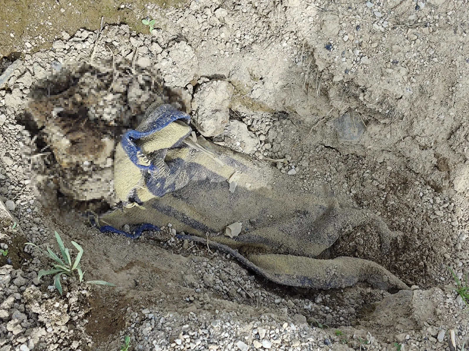 İstanbul’da Öldürüp, Nevşehir’e Gömmüşler! (3)