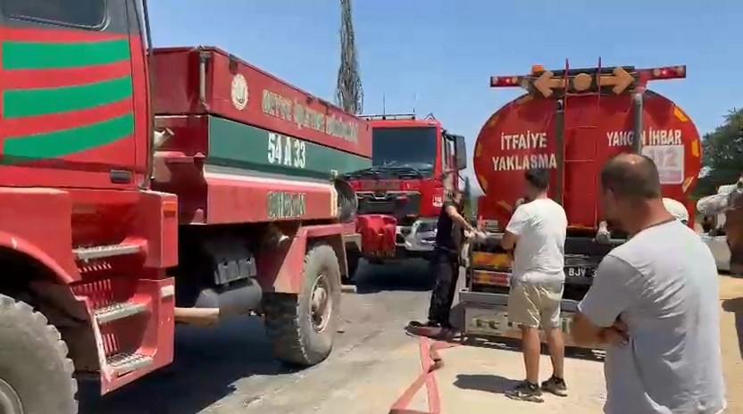 İznik’te Orman Yangını Kontrol Altına Alındı (3)