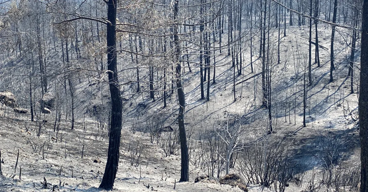 K A R A B U K’ T E B O L G E D E K I ‘ B A C A E T K I S I’ O R M A 838715 248581 Gencgazete