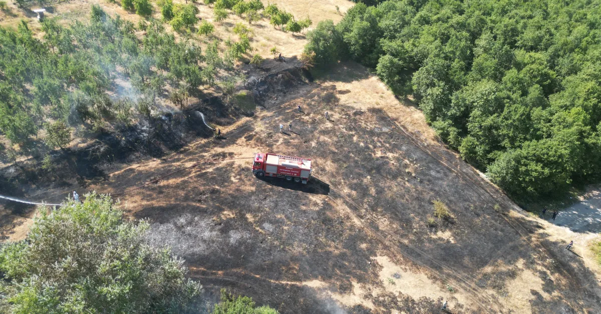 Kıran Yaylası'nda Korkutan Yangın Kontrol Altına Alındı (2)