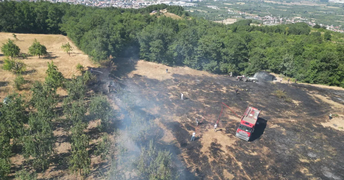 Kıran Yaylası'nda Korkutan Yangın Kontrol Altına Alındı (3)
