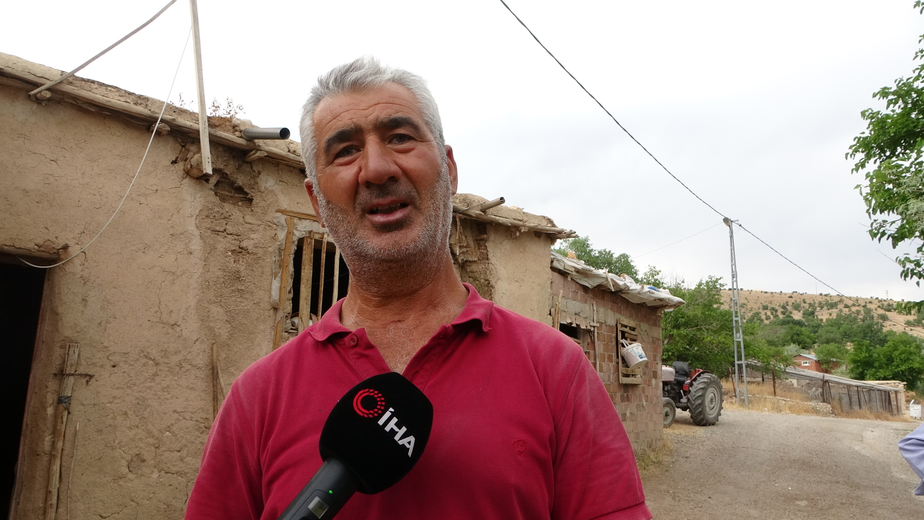 Malatya'da Çift Başlı Doğan Buzağı Şaşırttı (3)