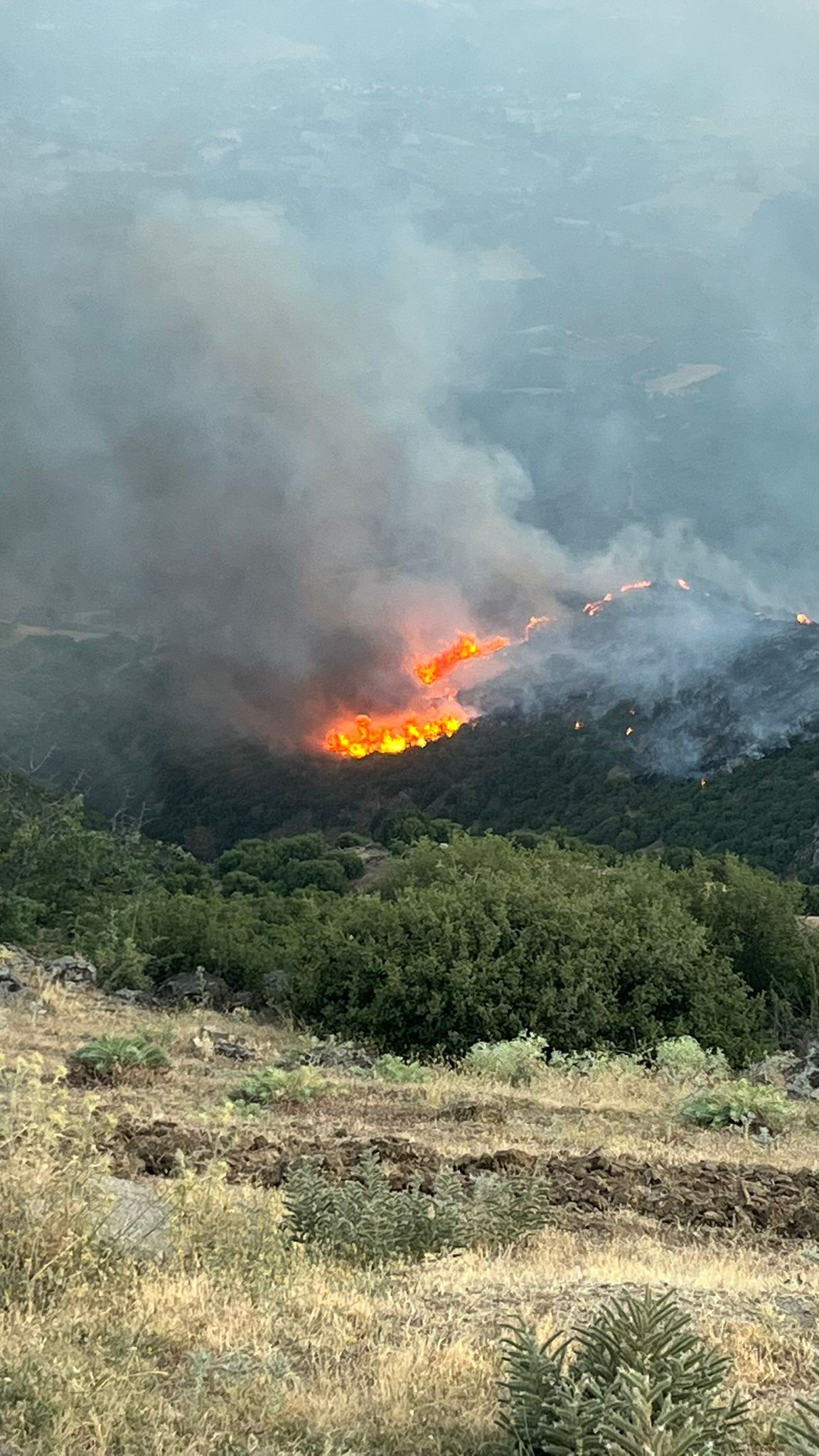 Manisa Sarıgöl’de Çıkan Yangın Uşak’a Ulaştı; Bazı Evler Tahliye Edildi (5)