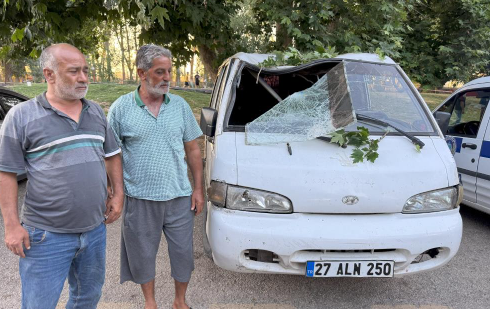 Piknik Alanında Ağacın Dalı Vatandaşların Üzerine Devrildi 11 Yaralı (2)