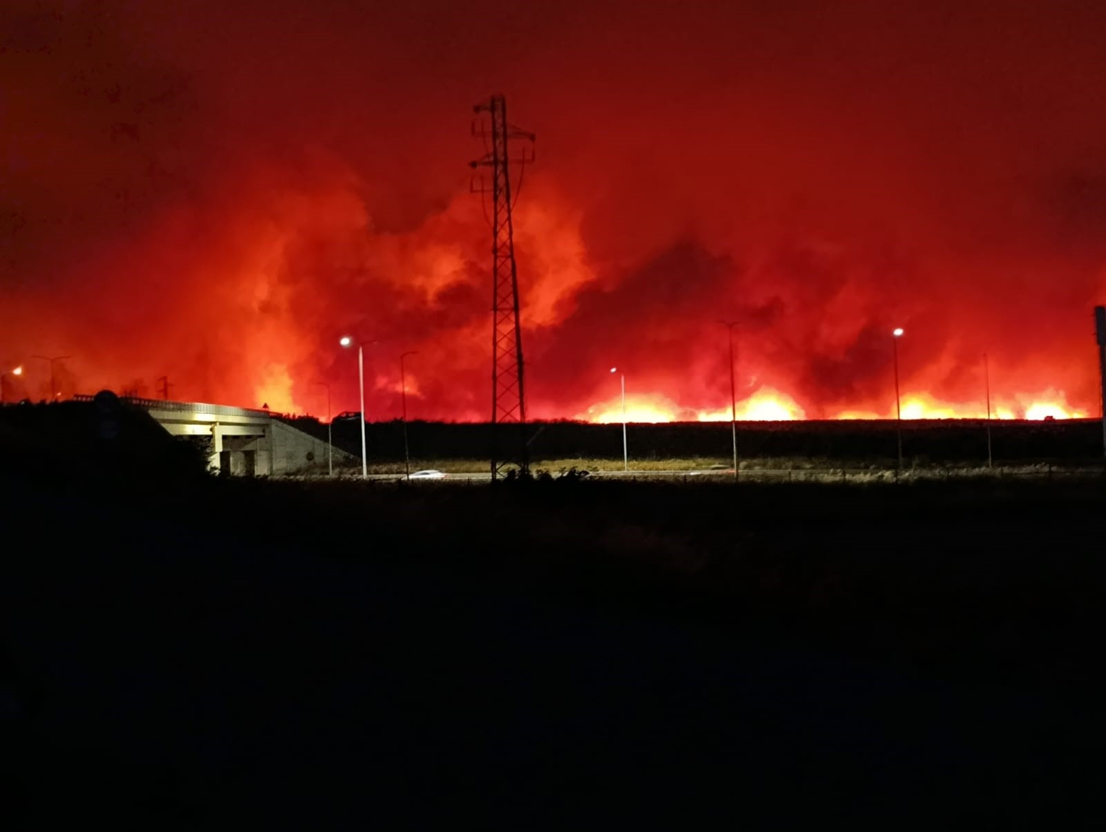 Tekirdağ'da Orman Yangını Geceyi Gündüze Çevirdi (2)