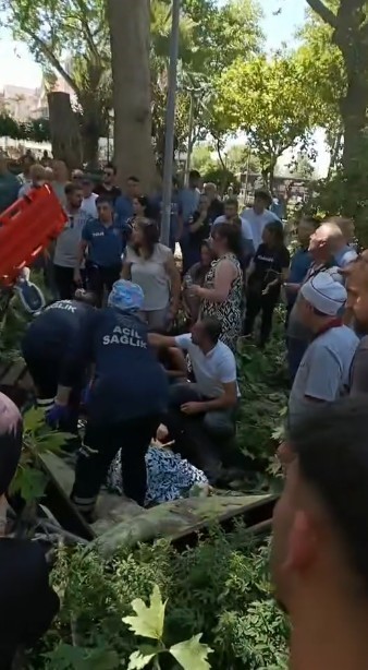 Üzerine Ağaç Dalı Düşen Genç Kız Hayatını Kaybetti (2)