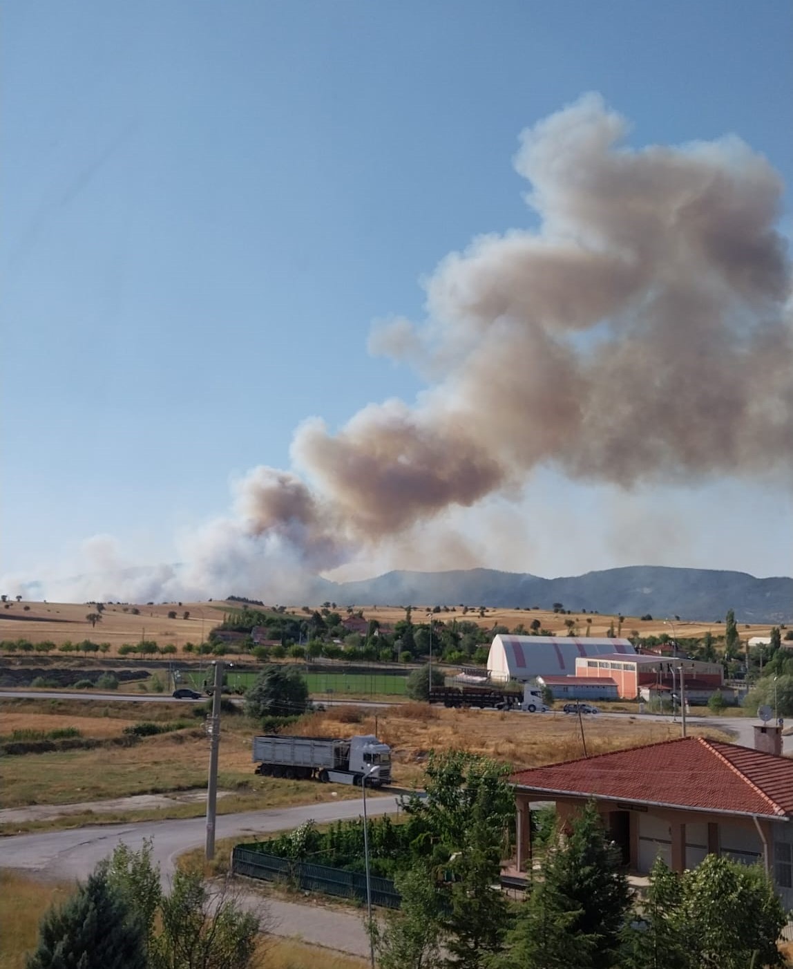 Vkütahya'da Orman Yangını (1)