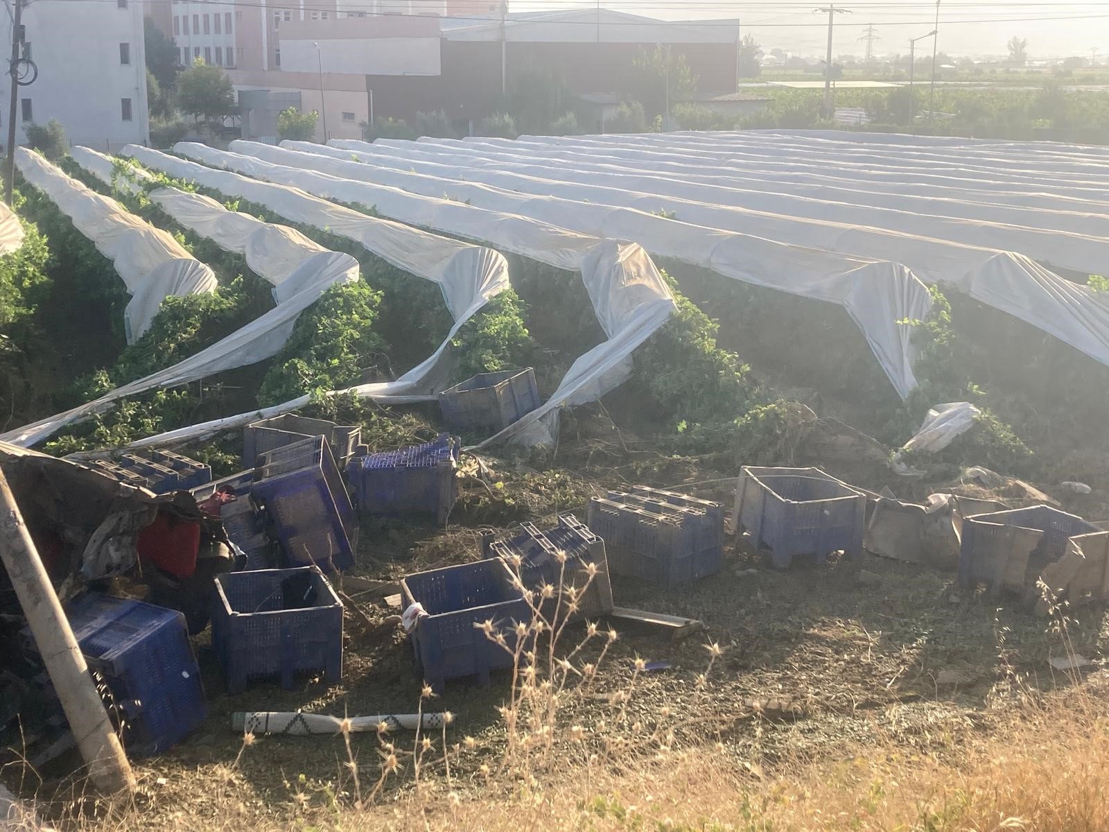 Yoldan Çıkıp Üzüm Bağına Uçan Tırın Şoförü Hayatını Kaybetti (1)