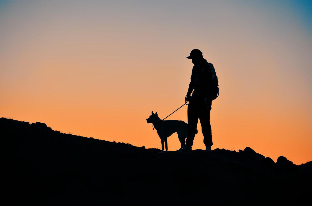 21 Ağustos Ne Günü Teror (3)