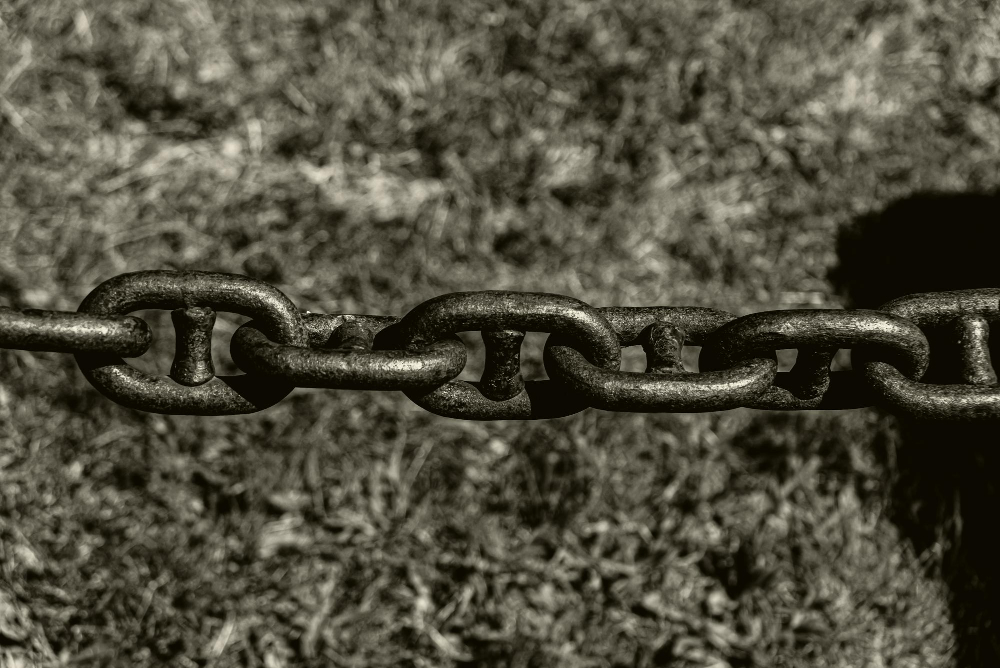 23 Ağustos Ne Günü Kölelik Esir Halka (8)