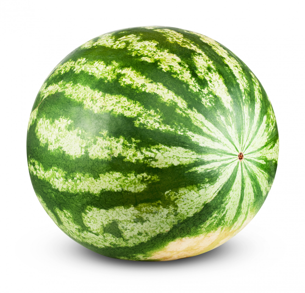 3 Ağustos Dünya Karpuz Günü! Gencgazete (1)