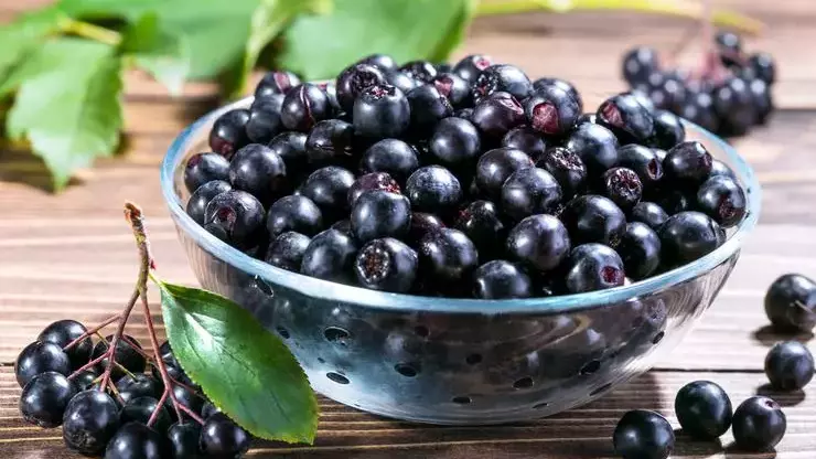 5F93E989Bf21441A487E718E