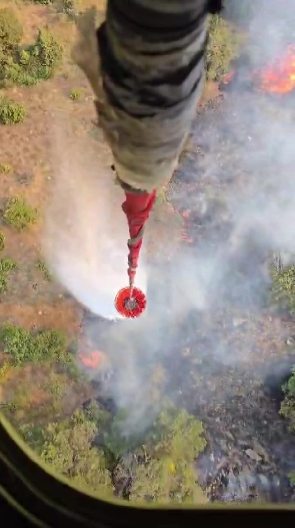 Amasya'da Orman Yangını (1)