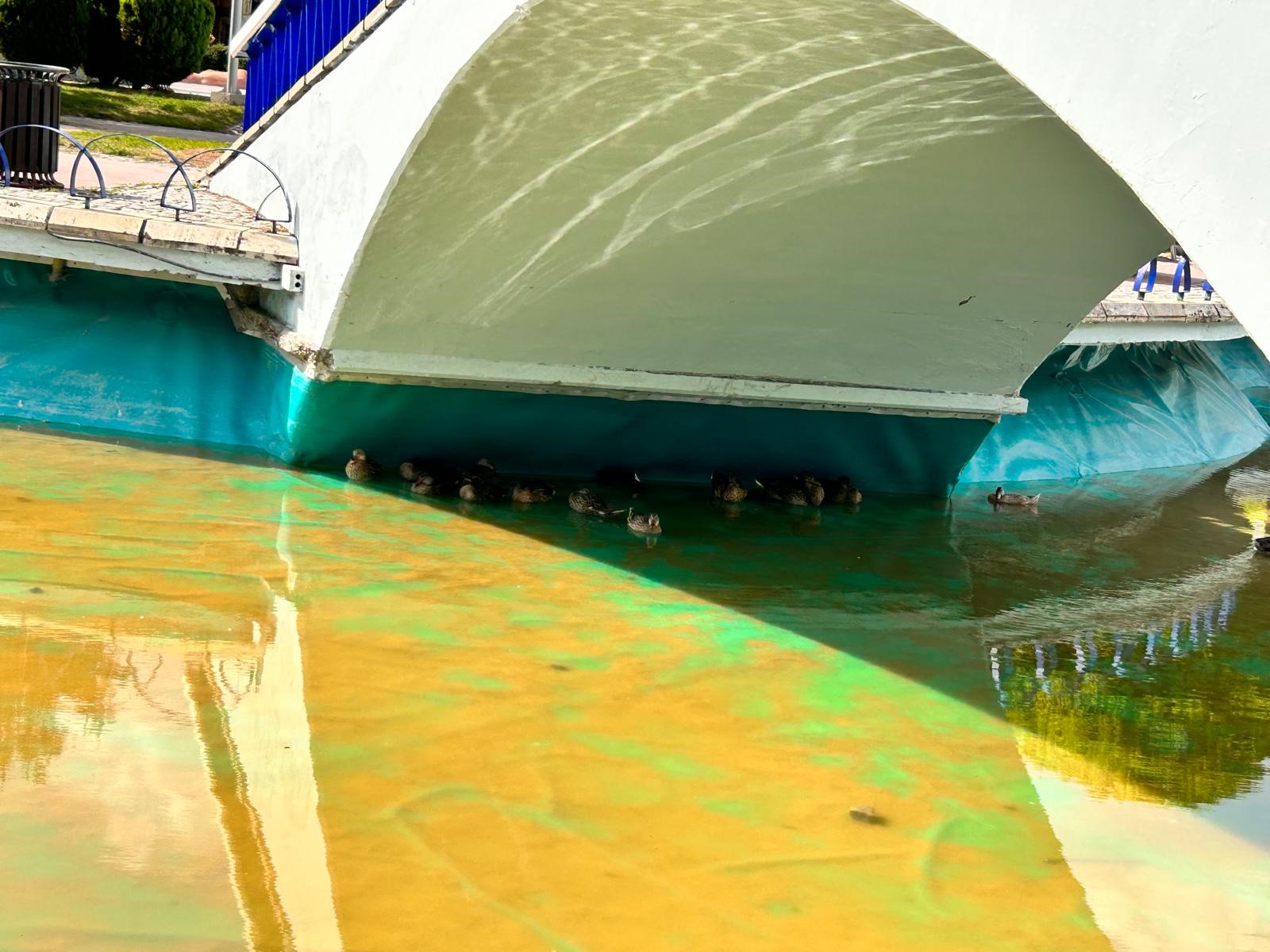 Ankara'nın Simge Parkları Çürürken Ankara Büyükşehir Belediyesi Sessiz (1)