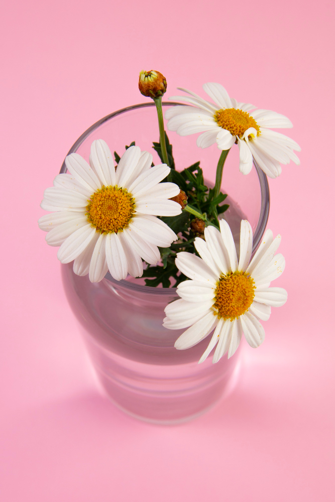 Bahtın Açık Olsun Ne Demek Baht Gencgazete (13)