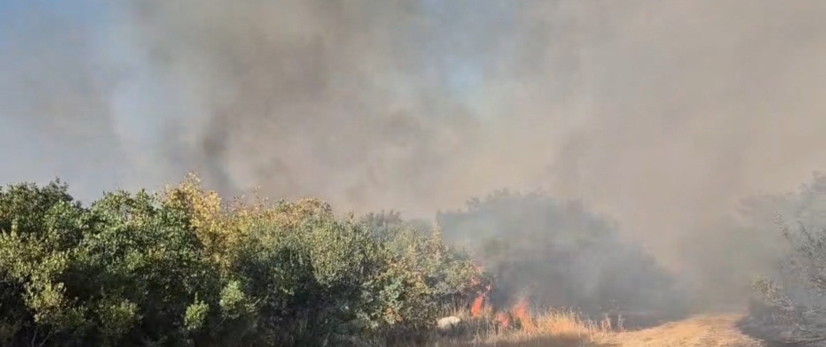 Balıkesir’deki Orman Yangınına Müdahale Sürüyor (3)