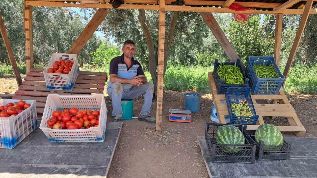 Bir Memleket Klasiği Bahçeden Topladığı Sebzelerin Parasını Bakın Nasıl Ödedi..