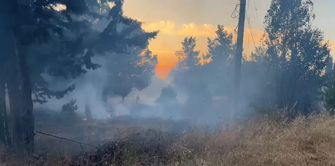 Bursa’da Korkutan Orman Yangını (3)