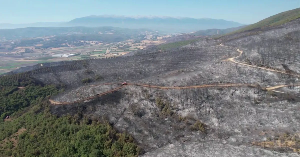 Bursa'da Orman Yangını Söndürüldü! Havadan Görüntüler Yürek Burktu (1)