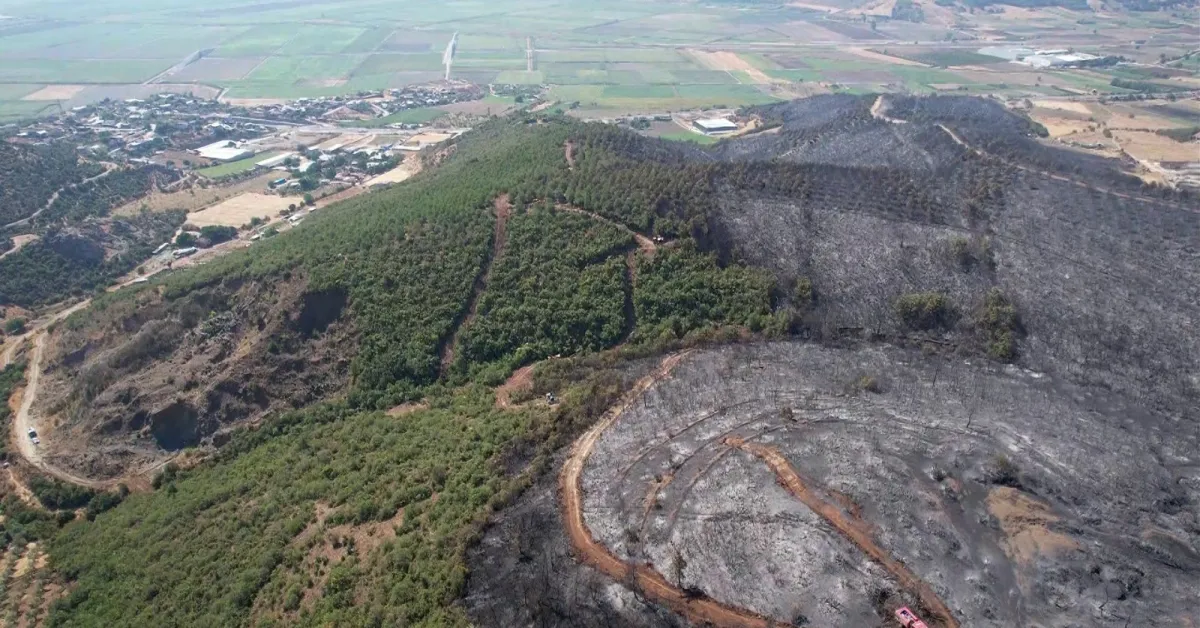 Bursa'da Orman Yangını Söndürüldü! Havadan Görüntüler Yürek Burktu (2)