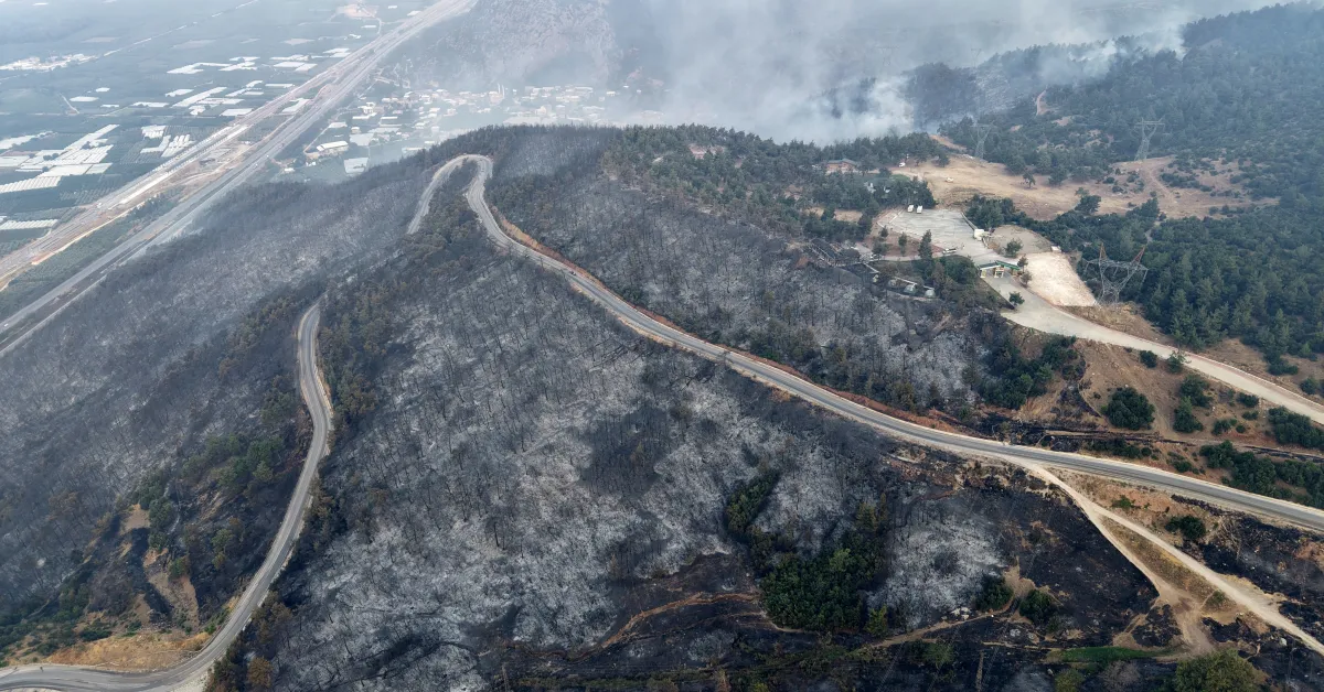 Bursa’daki Orman Yangını Sonrası Ekosistemin Yeniden Oluşması 100 Yılı Bulabilir (2)