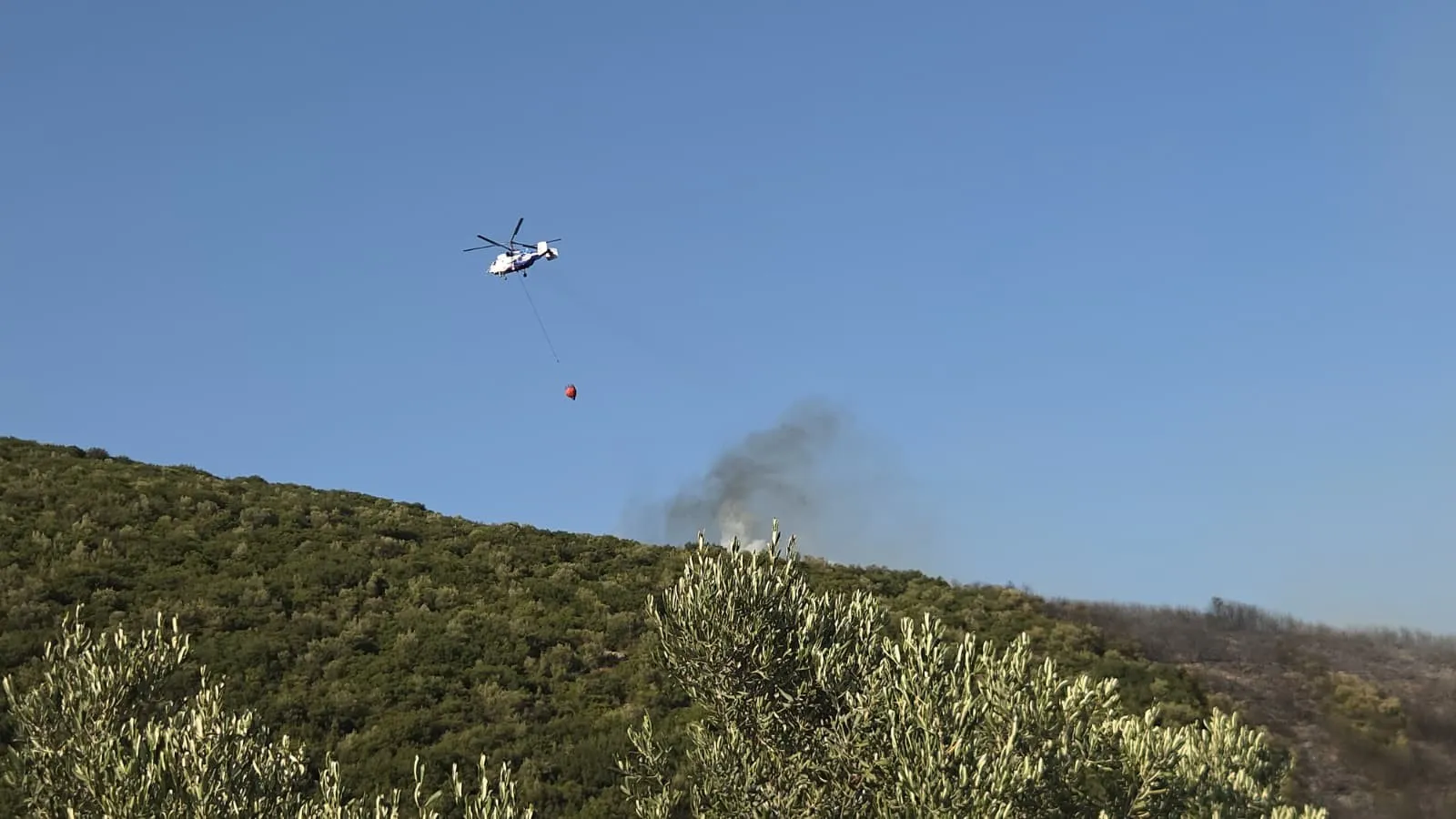 Bursa'daki Orman Yangınında Son Durum Ne (3)