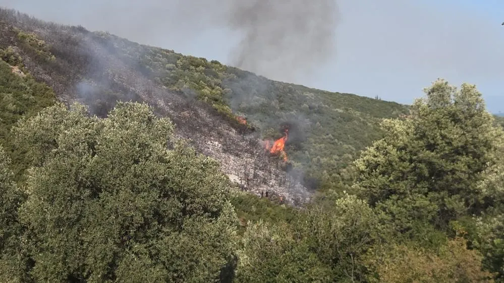 Bursa’daki Orman Yangınıyla Ilgili 1 Kişi Gözaltına Alındı (1)