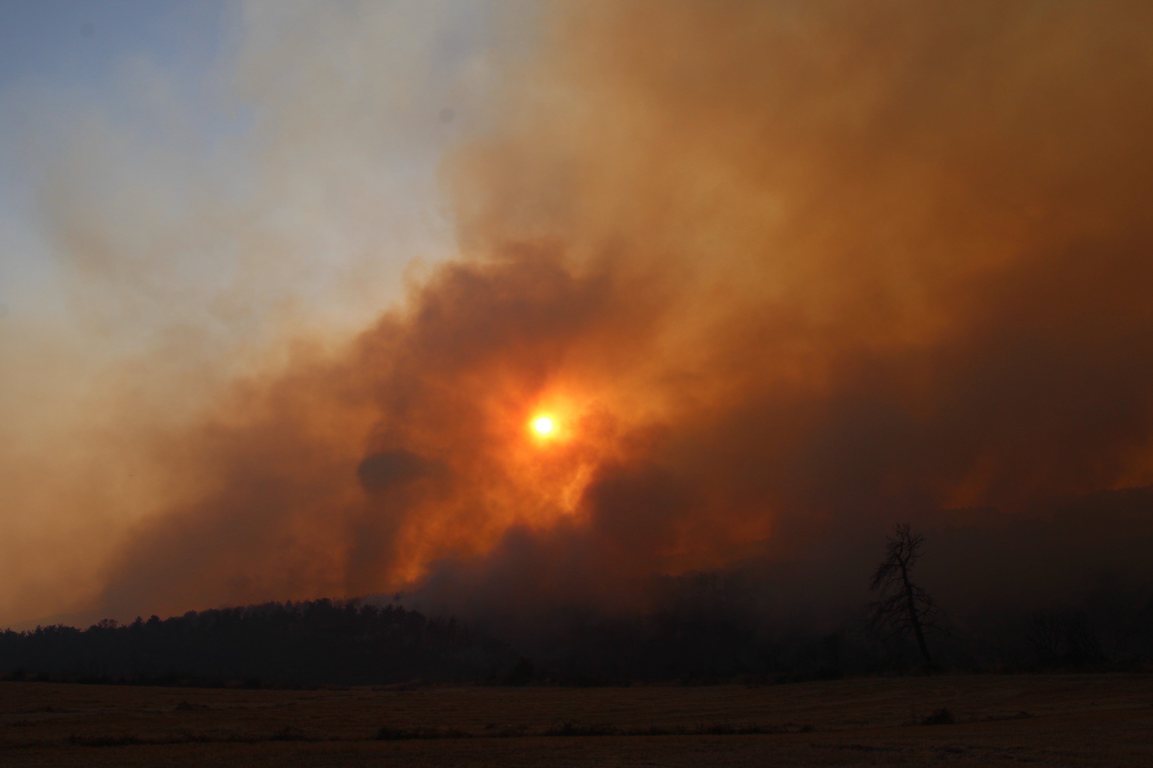 Çanakkale'deki Yangında 126 Vatandaş Tahliye Edildi (5)