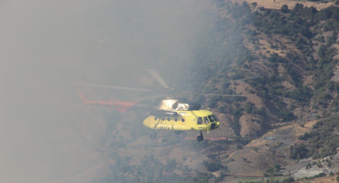Çorum’daki Orman Yangını Kontrol Altına Alındı (2)